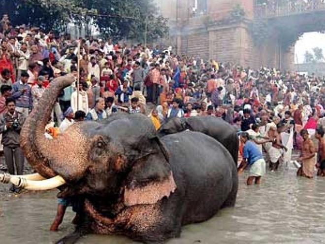 Sonepur Mela Grounds and Asia's Largest Cattle Fair Venue