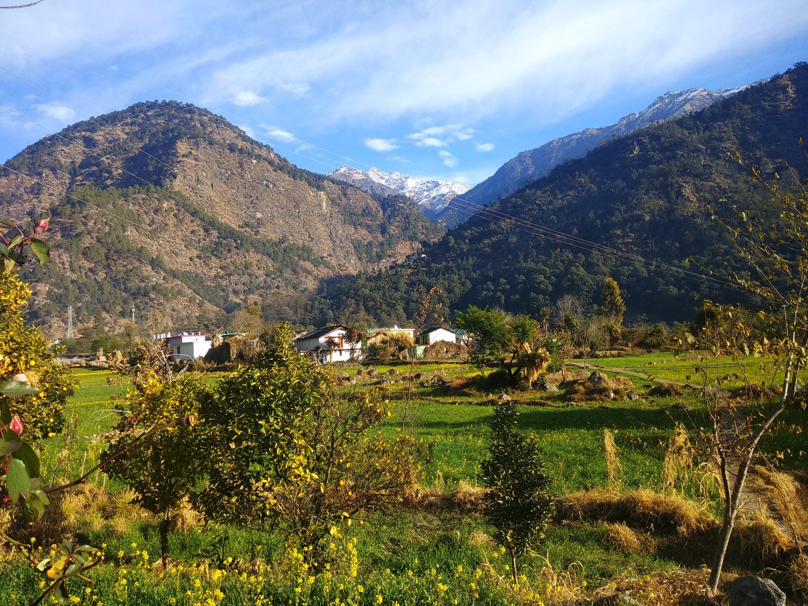 Dehradun, Mandal