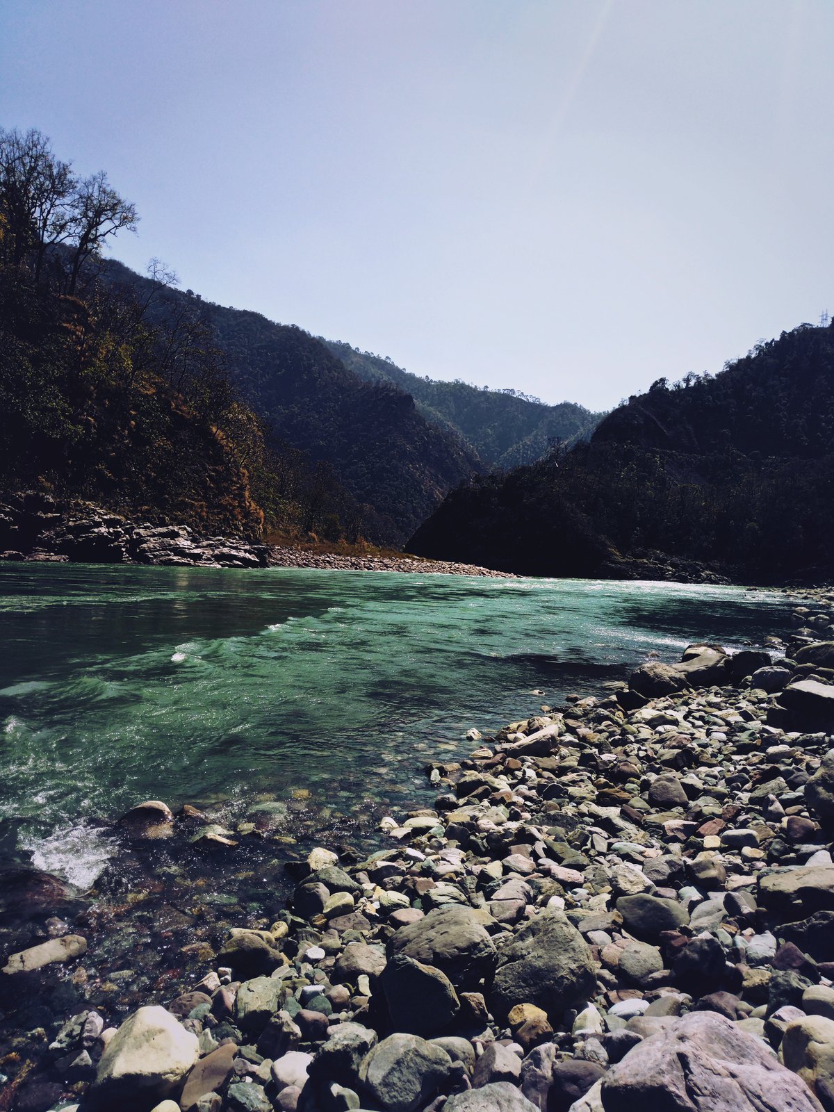 Madhav National Park and Sakhya Sagar Lake Safari