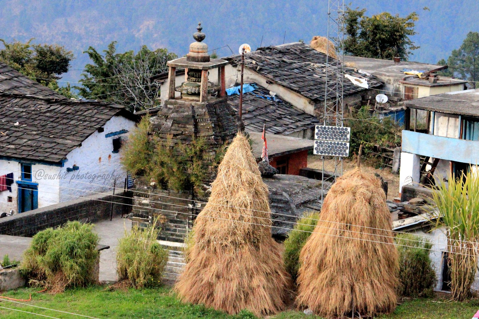 Jolly Grant Airport, Gangolihat