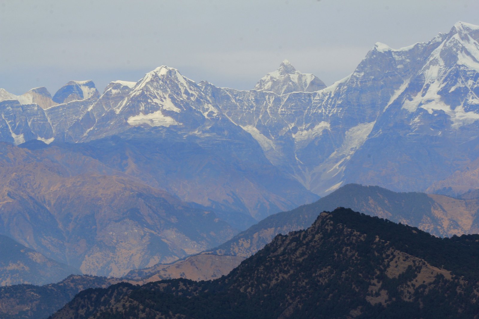 Dehradun, Augustmuni