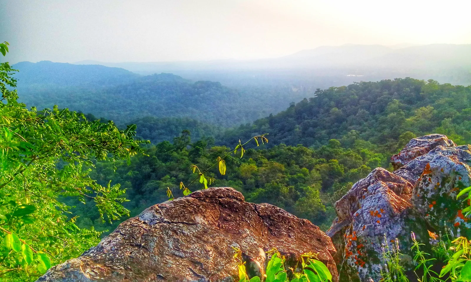 Dehradun, Dalli Rajhara