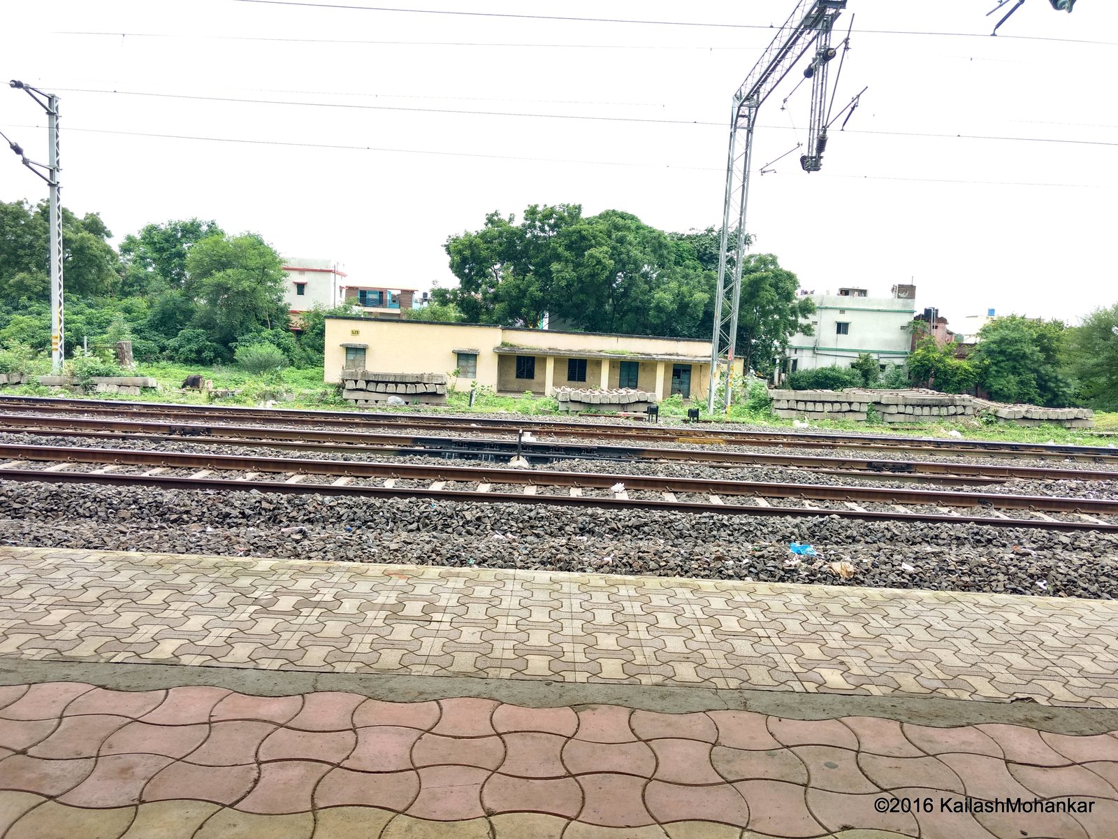 Pench Tiger Reserve and Satpura Forest Gateway