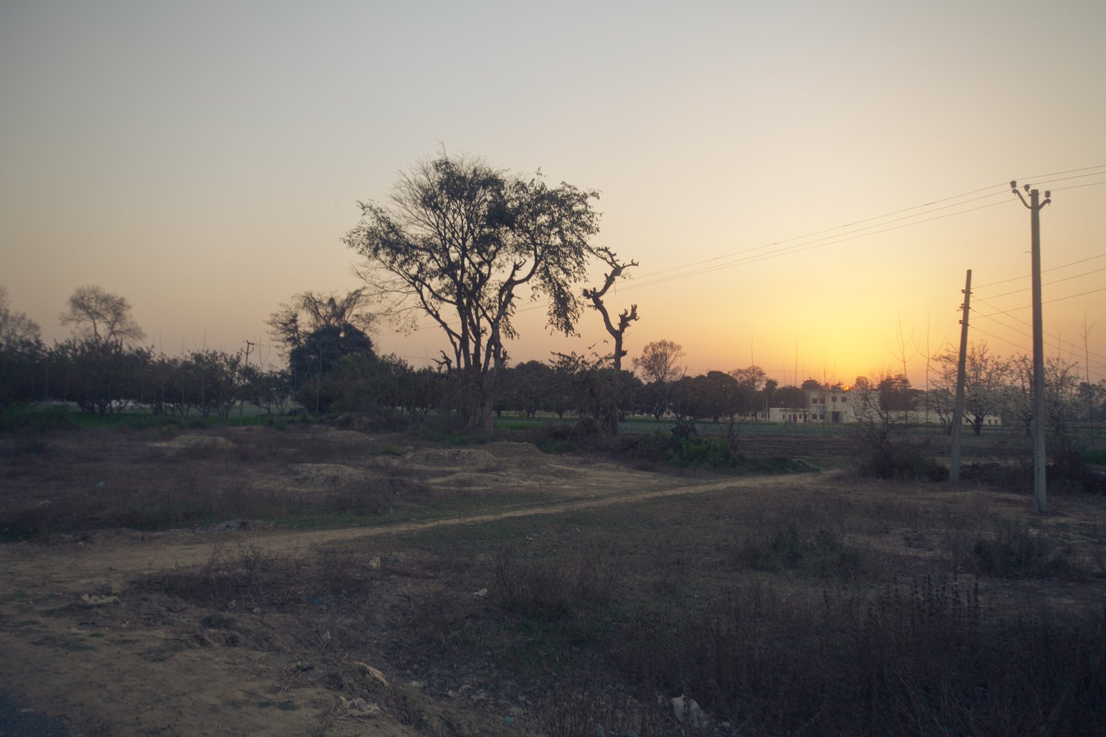 Upper Doab Sugarcane Countryside and Krishni River Basin