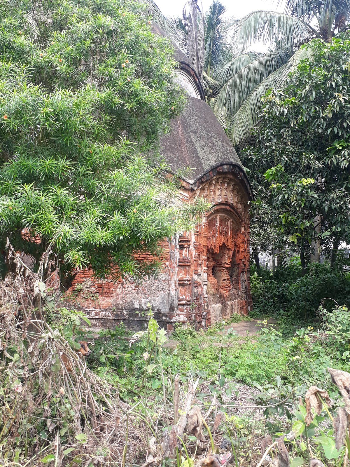 Kalna Rajbari Royal Terracotta Temples and Pratapeshwar Mandir