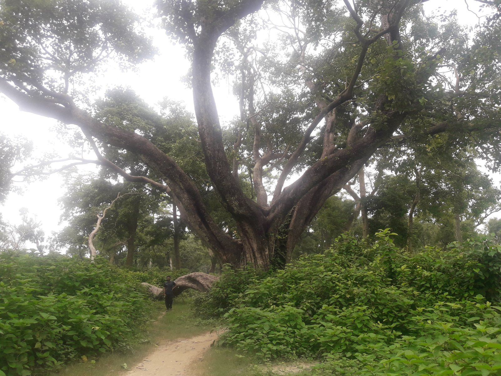 Sharda River and Suheli Terai Grasslands Palia Kalan
