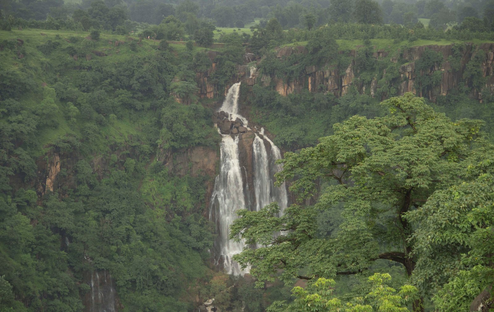 Zarwani Waterfalls and Shoolpaneshwar Forest Sanctuary