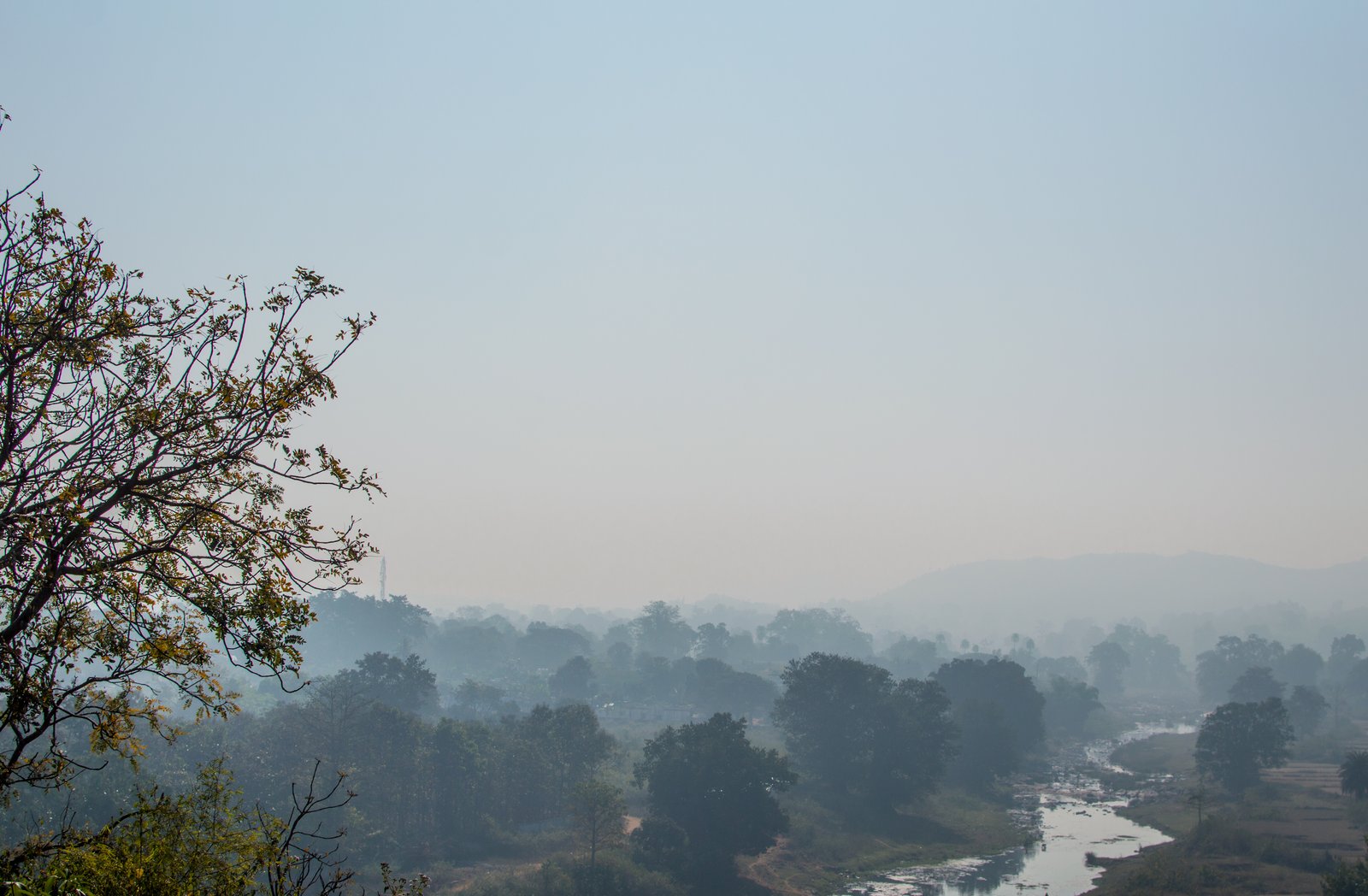 Daringbadi Pine Forests and Kashmir of Odisha Highlands