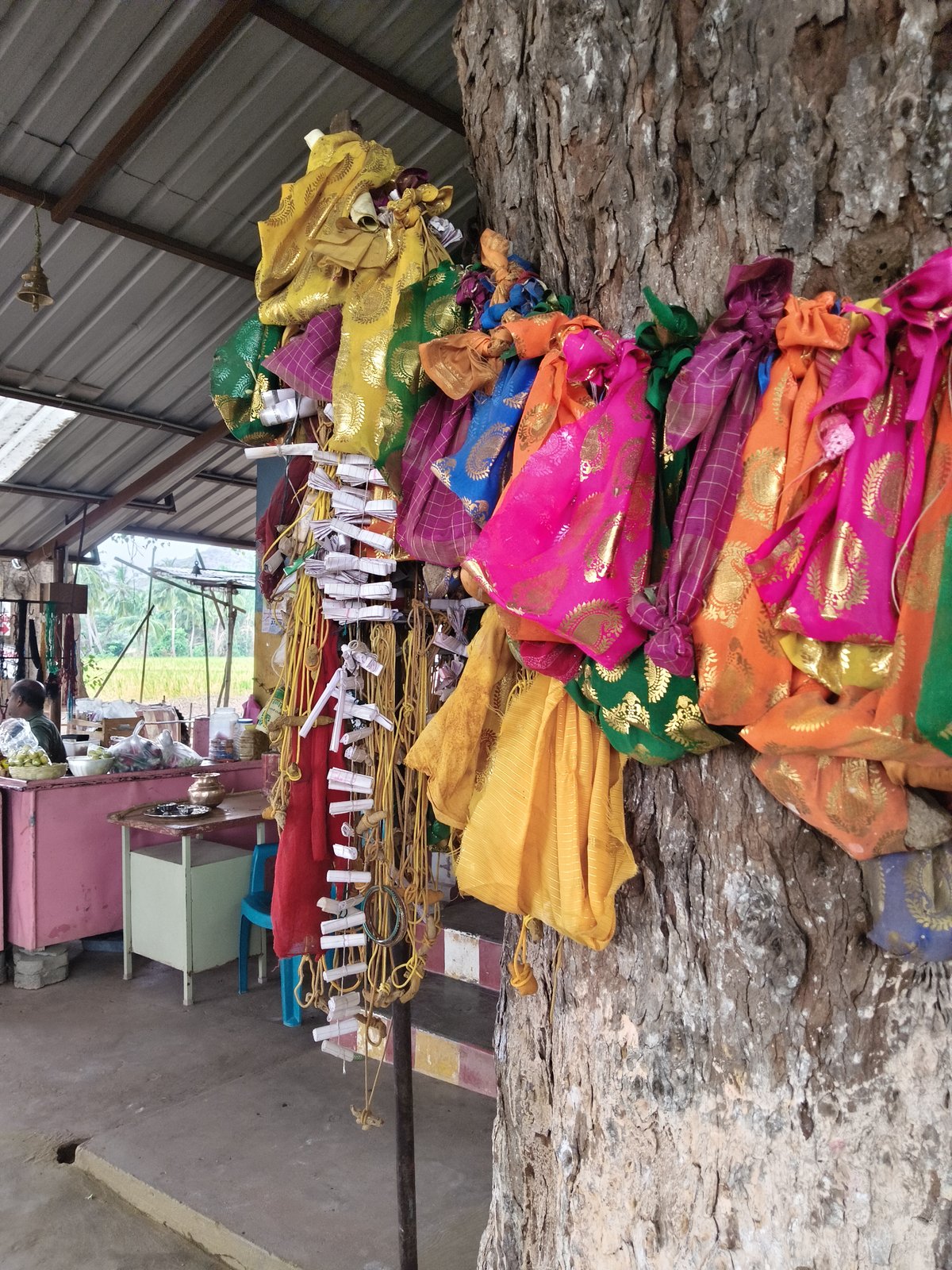 Pachaimalai Hills Eco-Tourism and Tribal Green Highlands