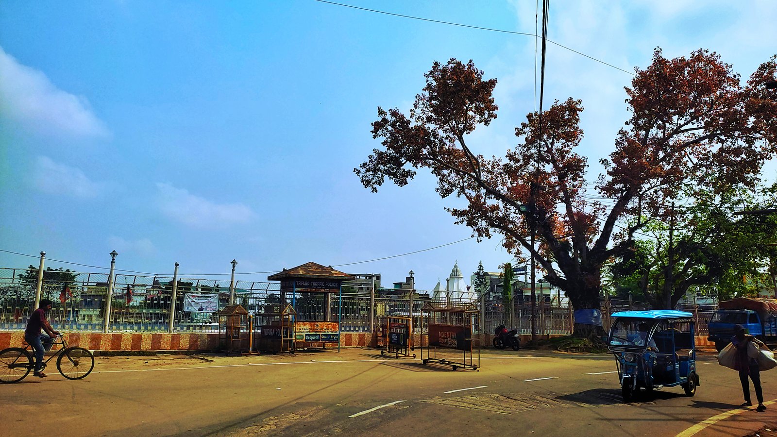 Misty Jampui Hills & Orange Orchard Greenery