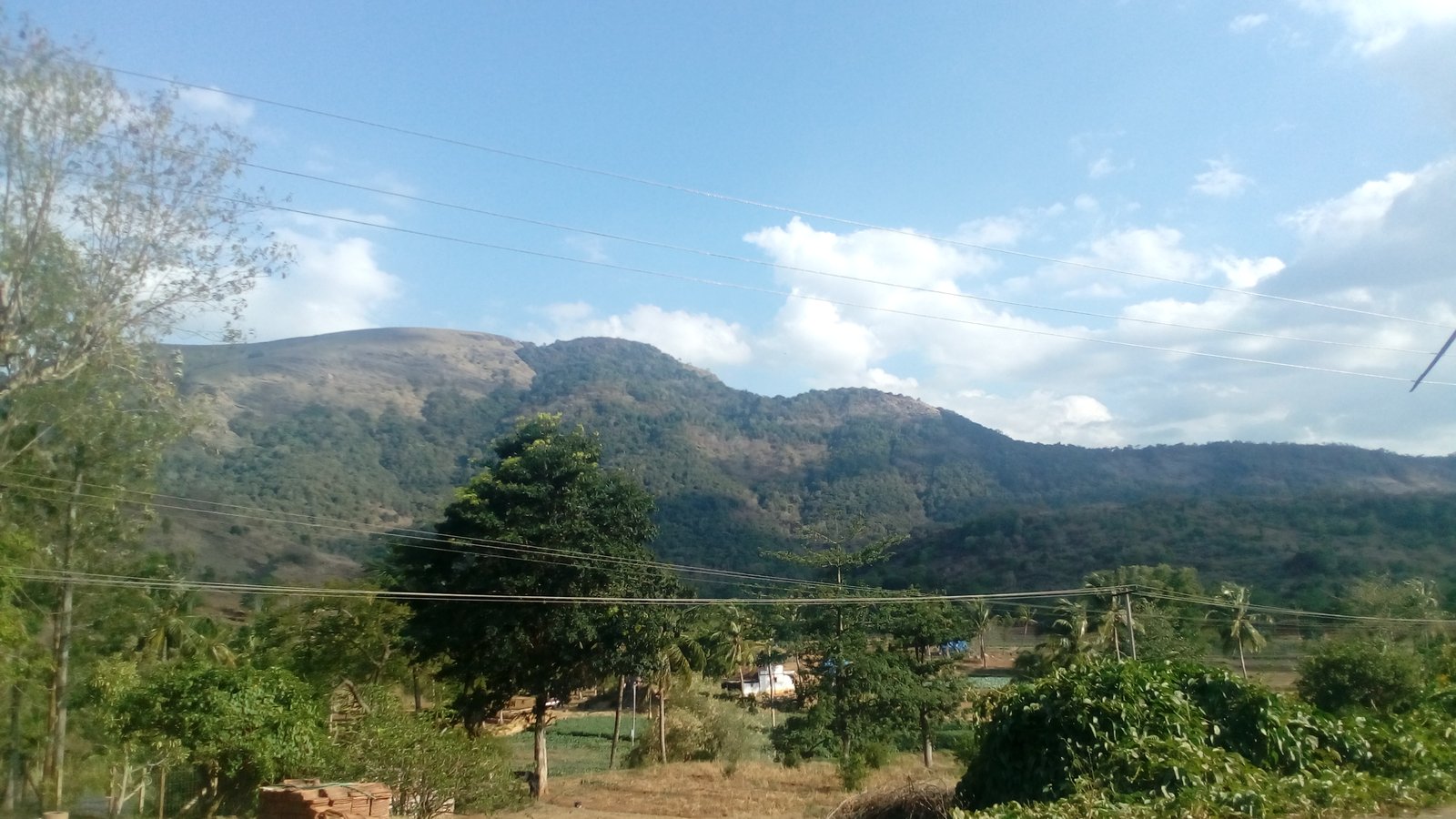 Parappalar Dam & Cascading Forest Waterfalls