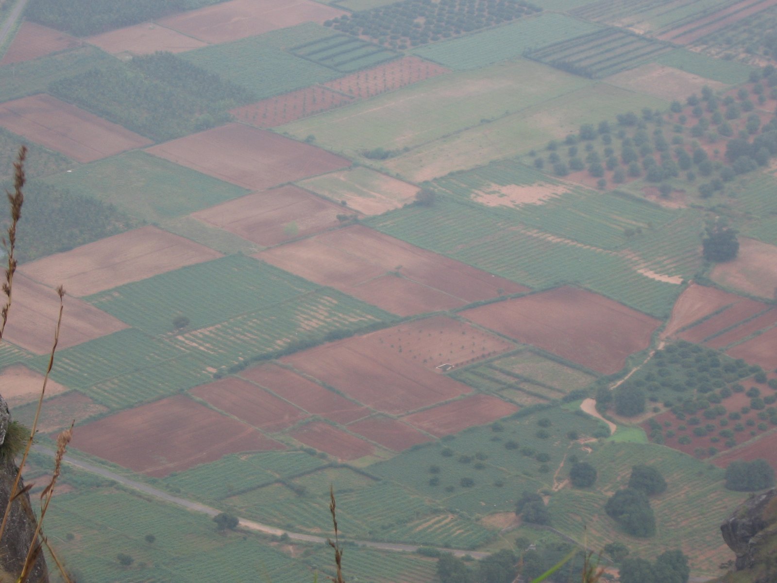 Cumbum Valley Grape Vineyards and Western Ghats