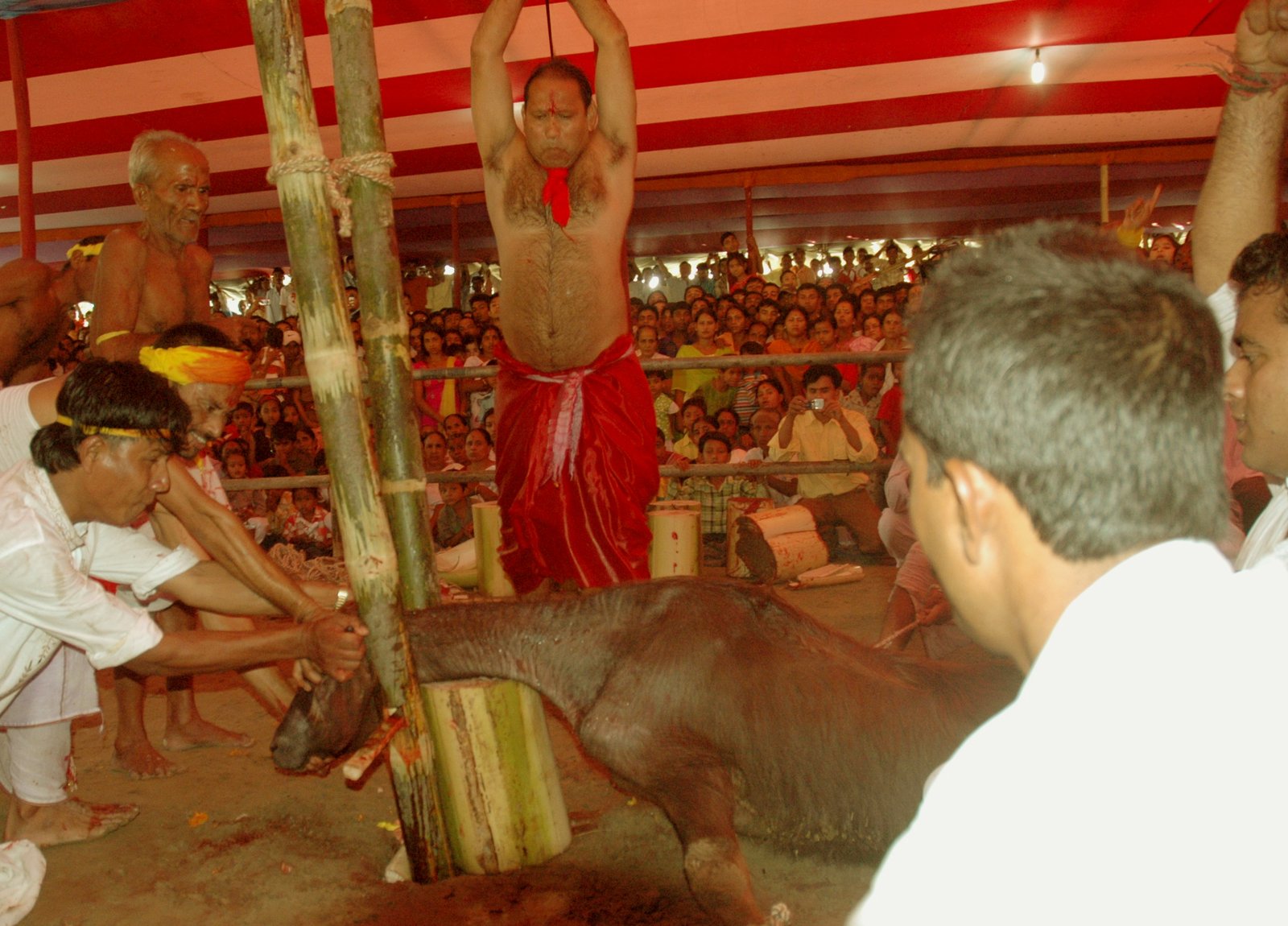 Durga Puja Festival at Nalbari
