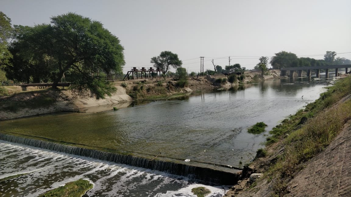 Hansi Branch Canal Old Chautang at Safidon