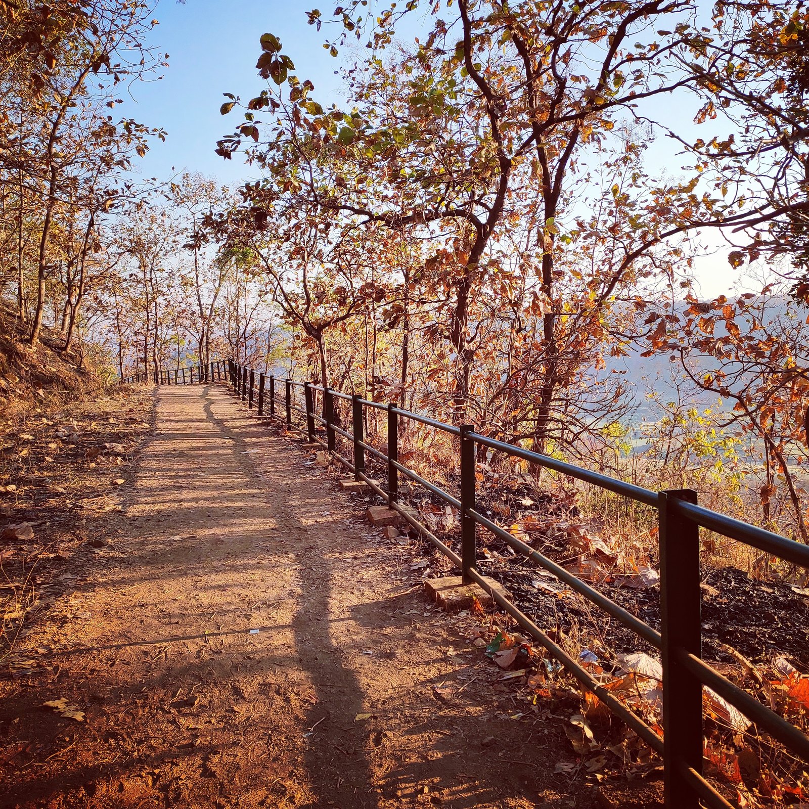 Lush Satpura Forest Ranges near Sausar