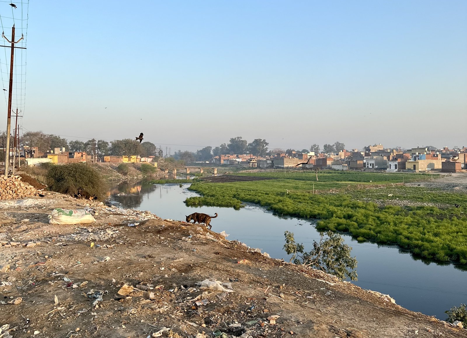 Dehradun, Bulandshahr