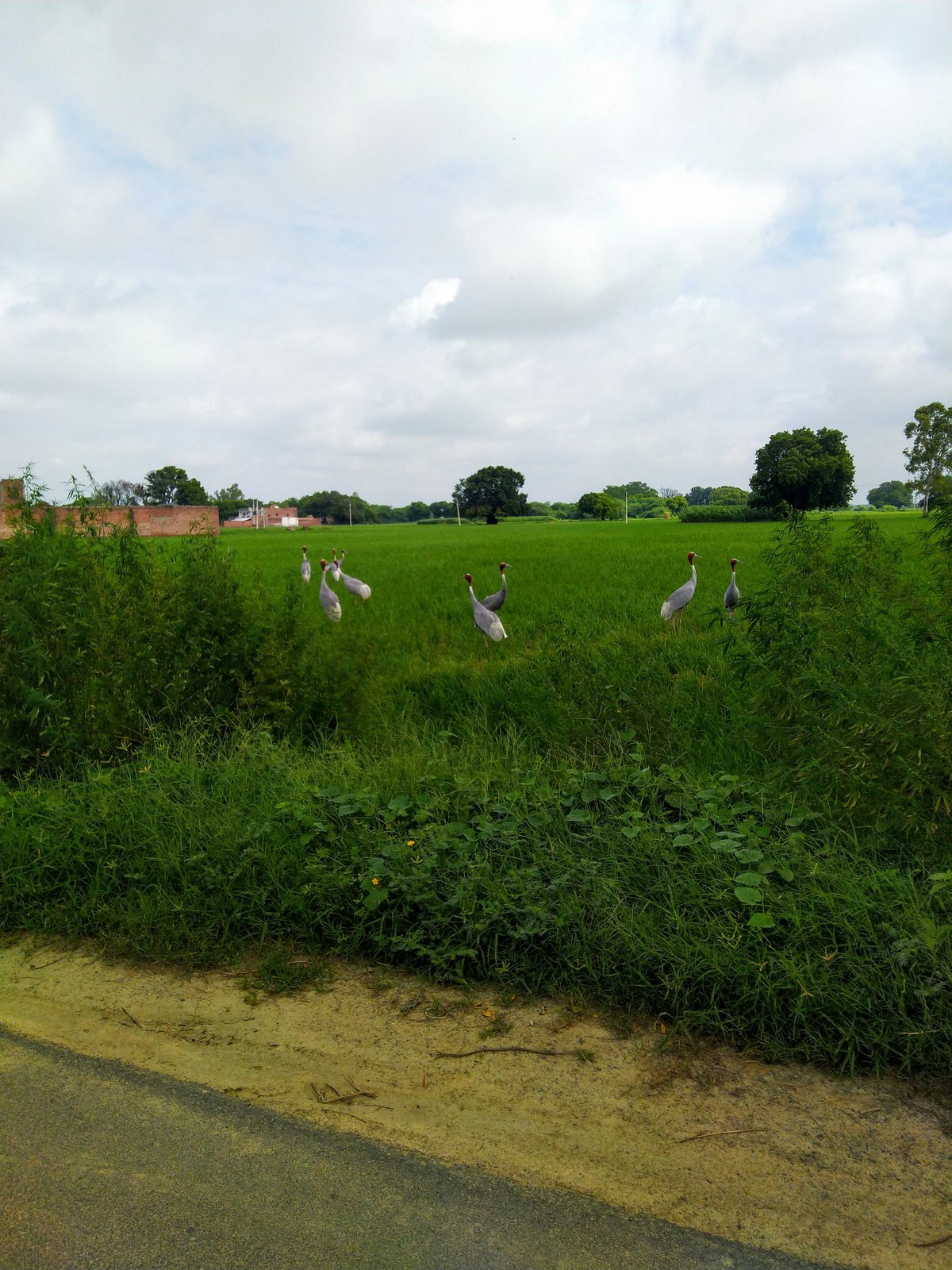 Kathgodam, Mainpuri