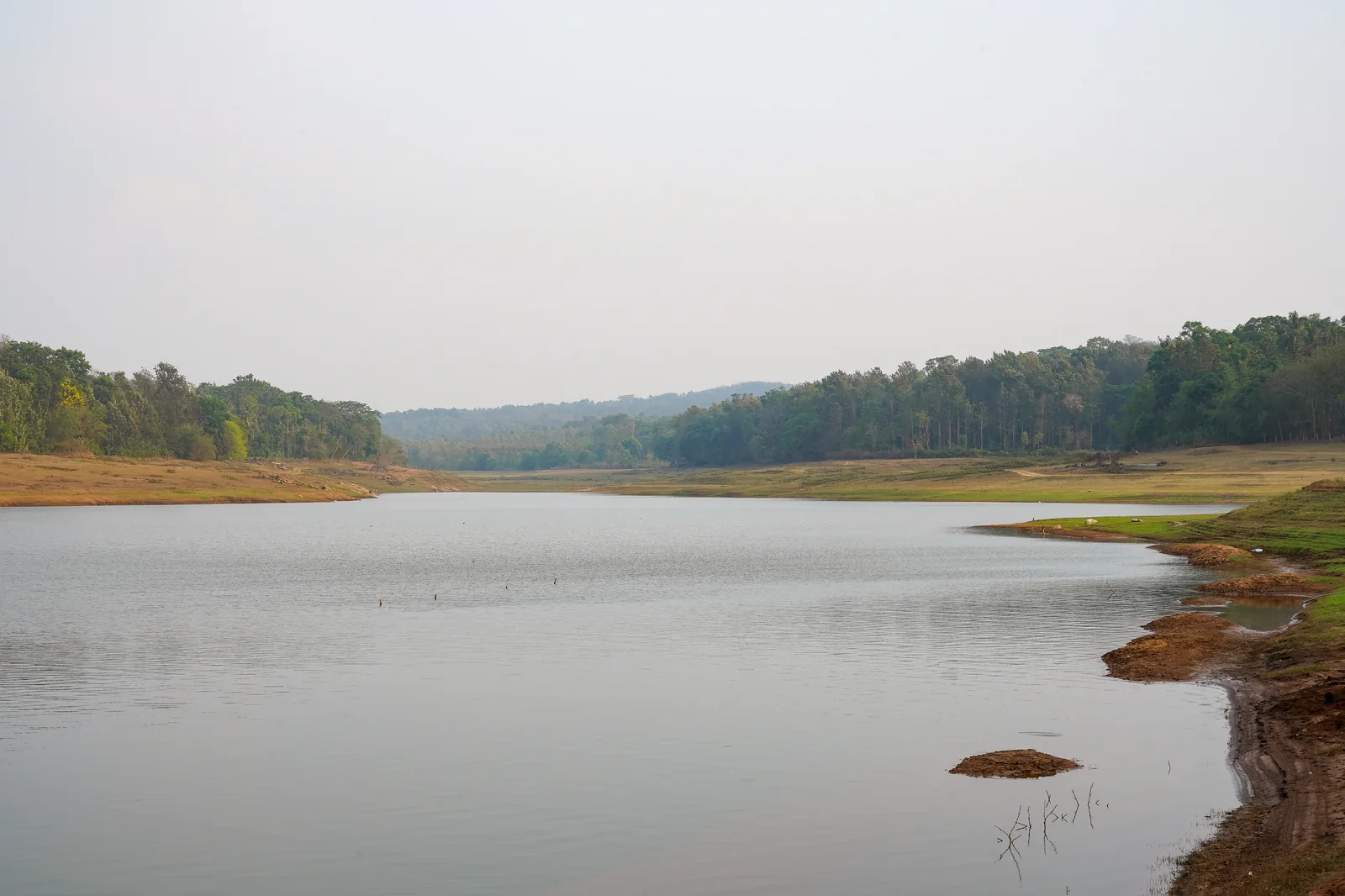 Panoramic Brahmagiri Hills and Shola Grassland Ridge
