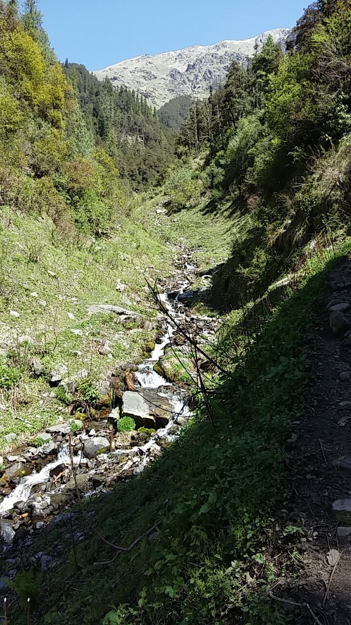 Dehradun, Kasol