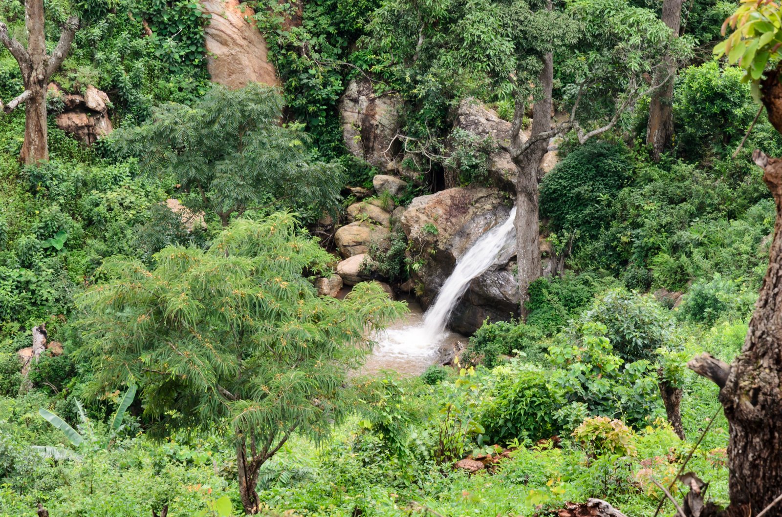 Dehradun, Araku Valley