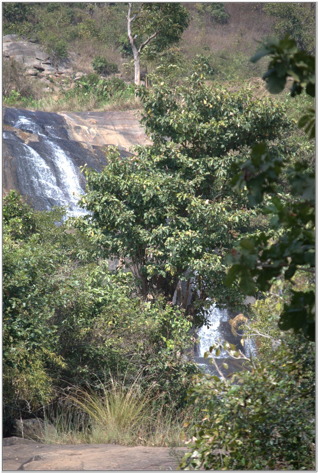 Bal Mithai, Araku Valley