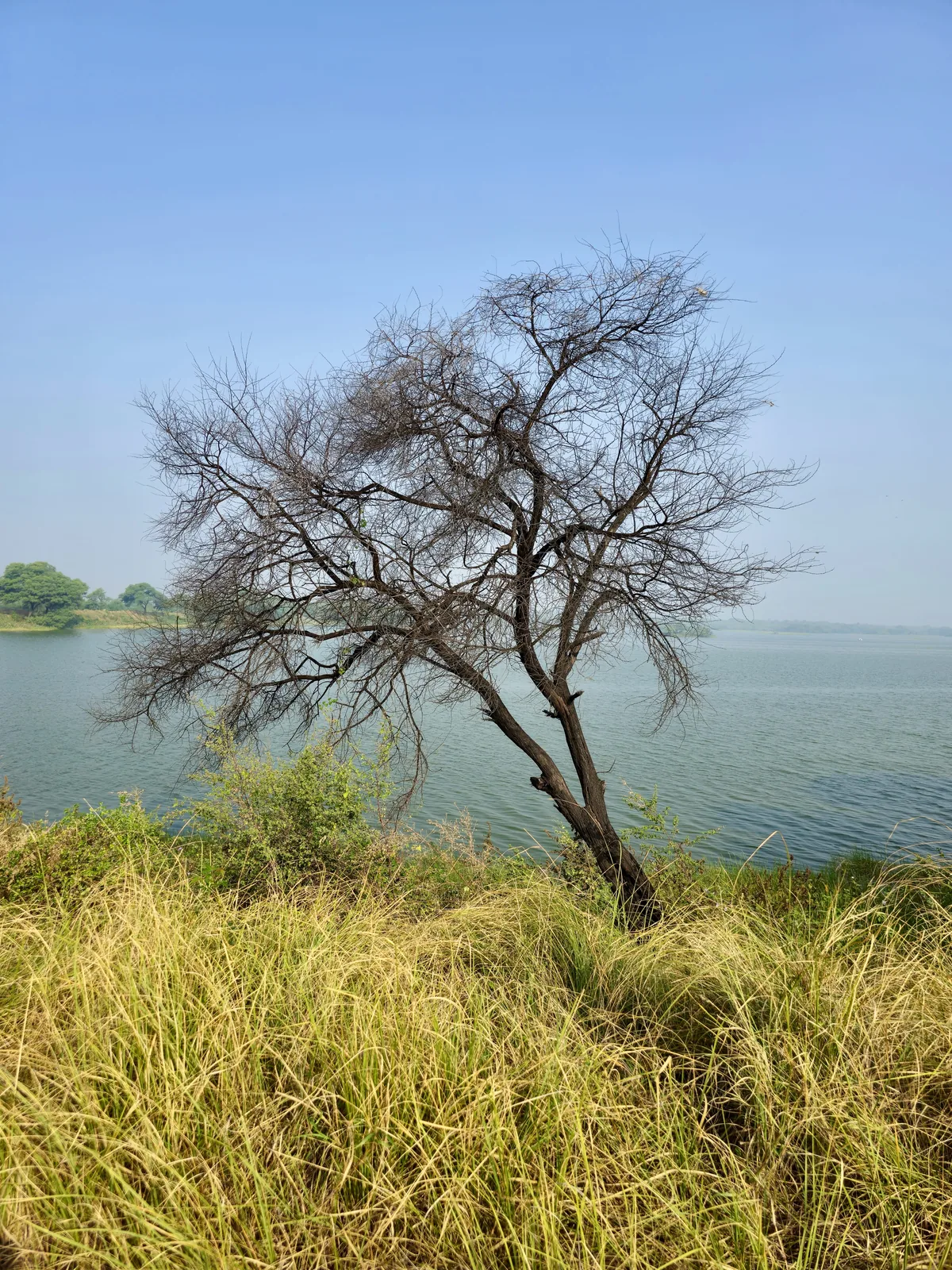 Scenic Landscapes and Water Reservoirs in Mehsana Gujarat