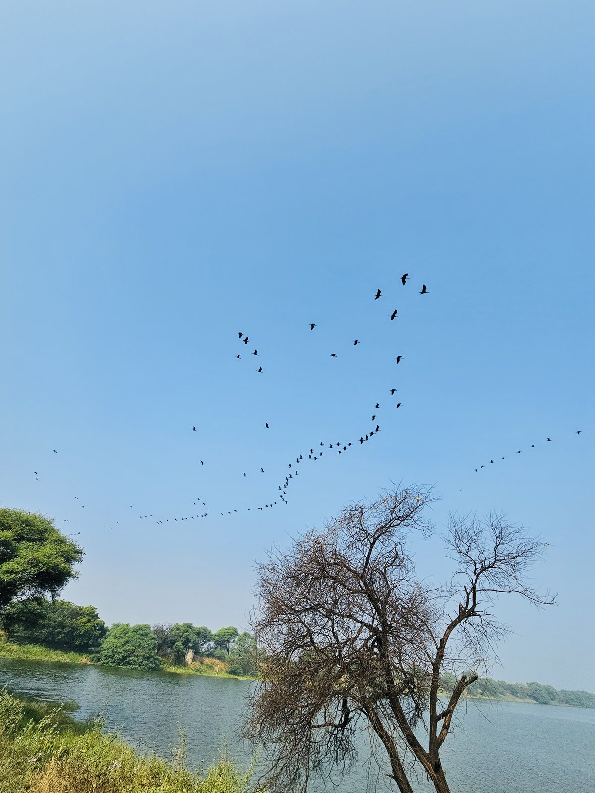 Kathgodam, Mehsana