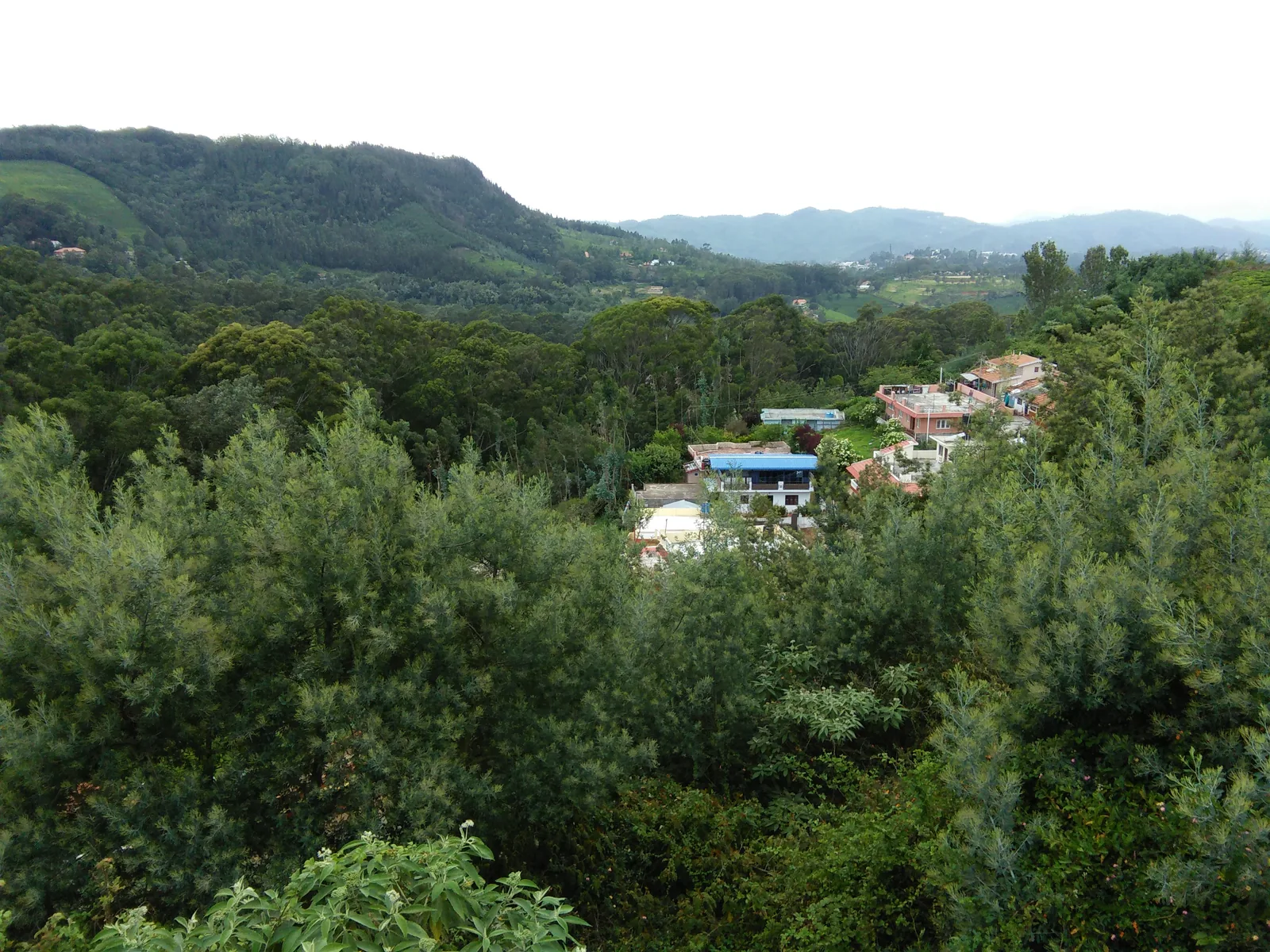 Scenic Nature Landscapes and Tea Plantations in Coonoor