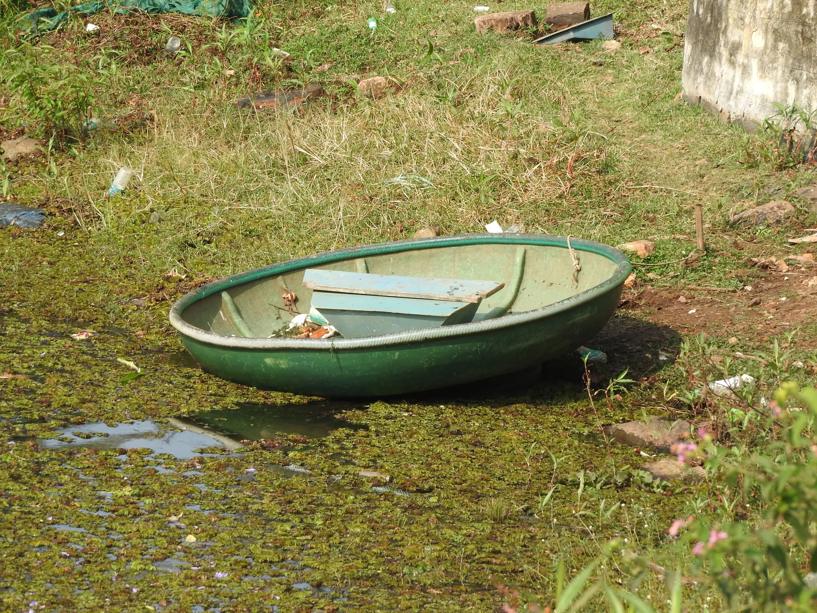 Yercaud Lake and Scenic Nature Landscapes in Tamil Nadu