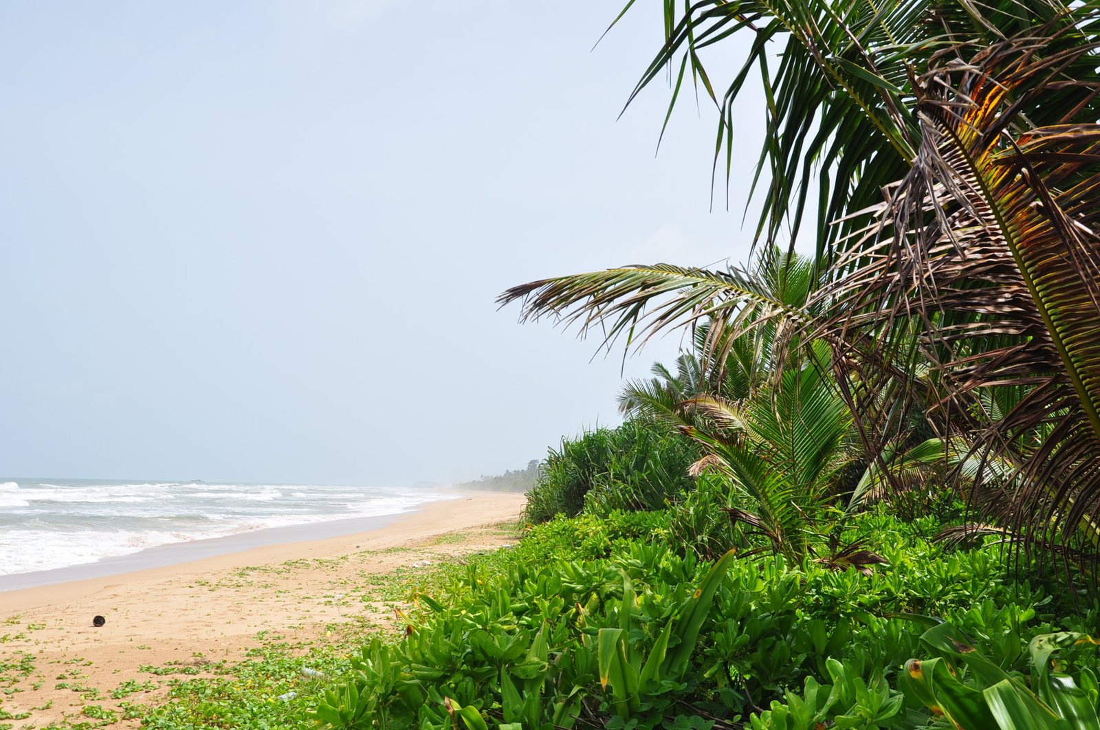 Dehradun, Bentota