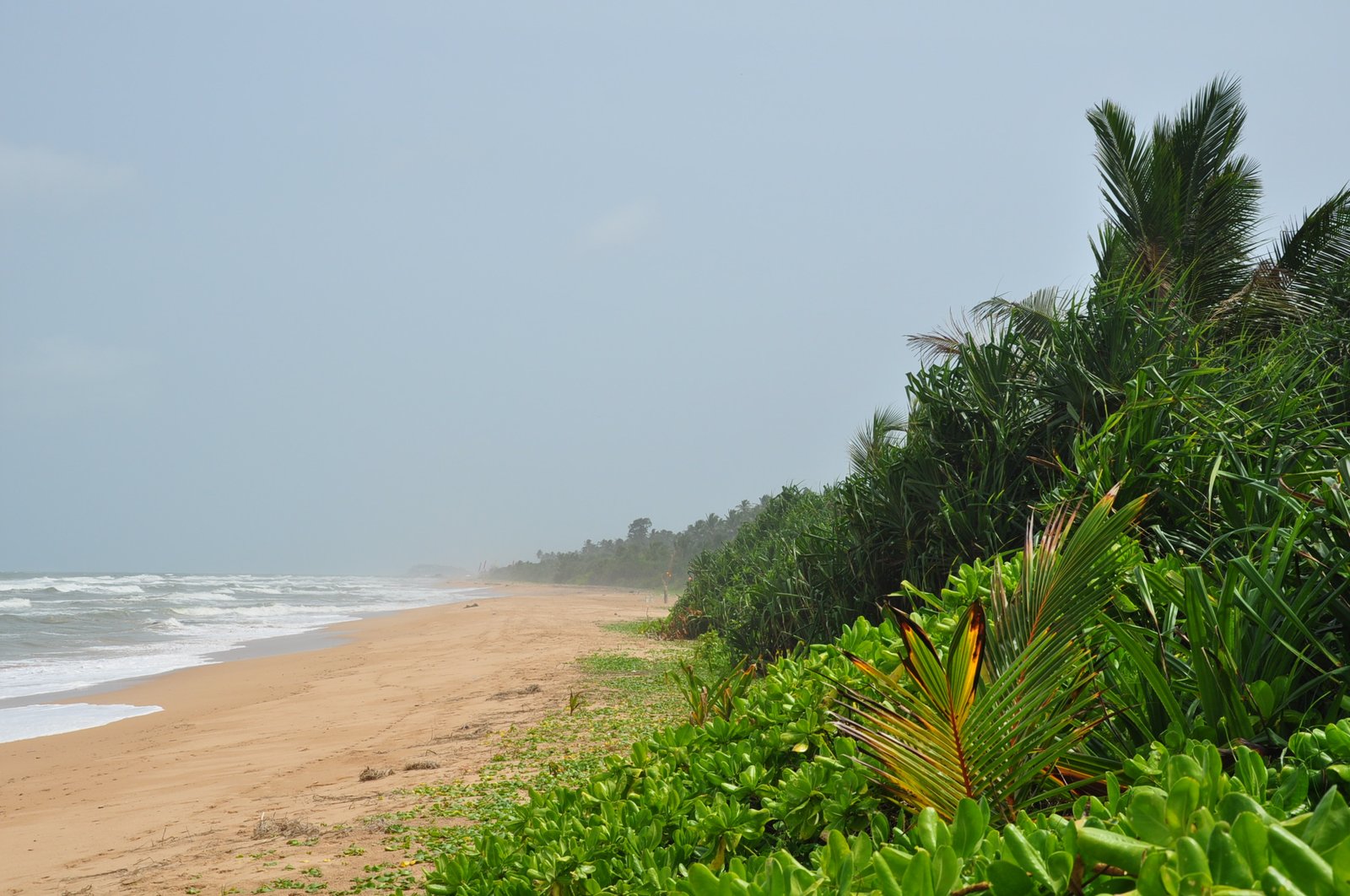 Bal Mithai, Bentota