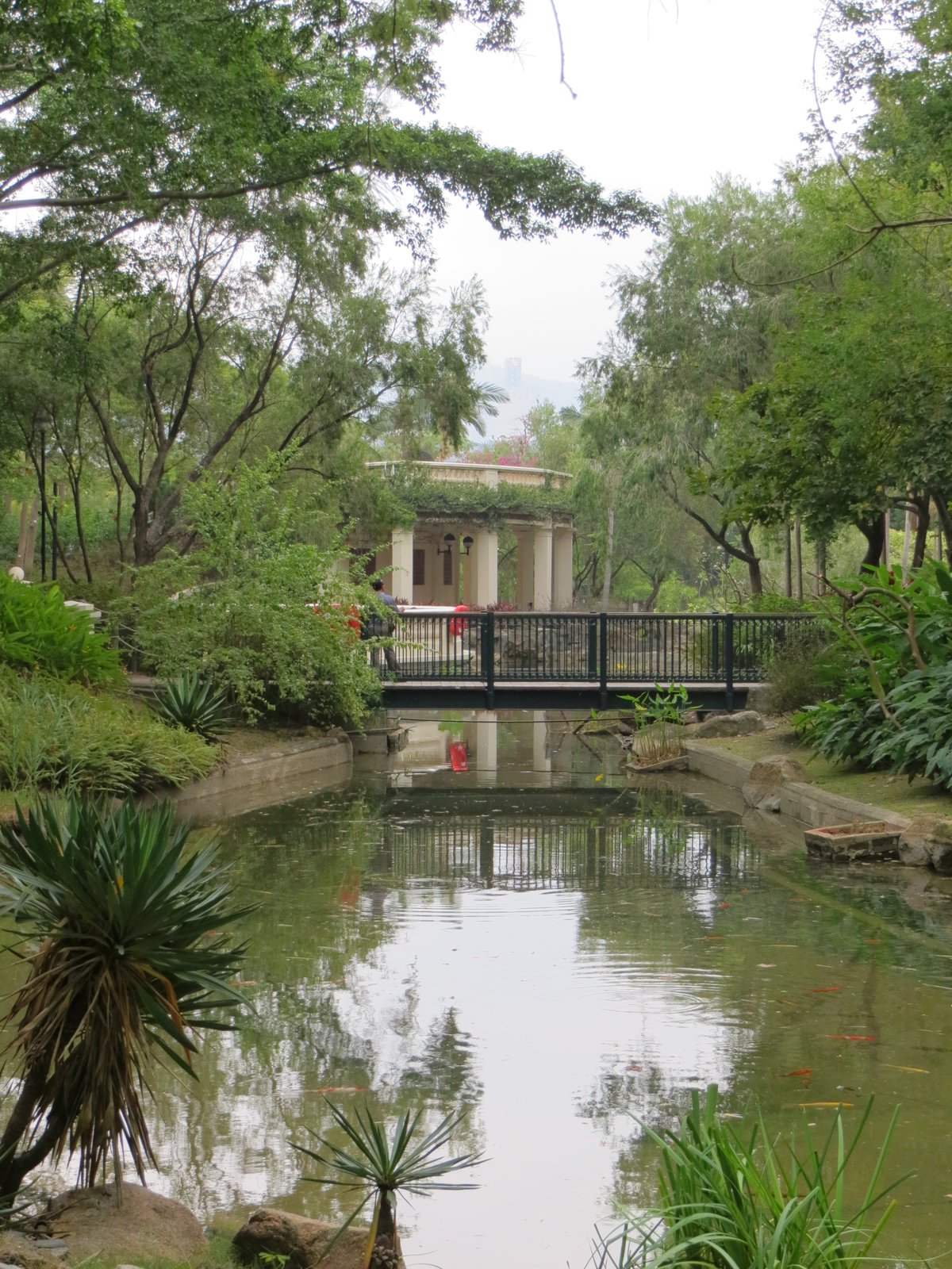Hong Kong