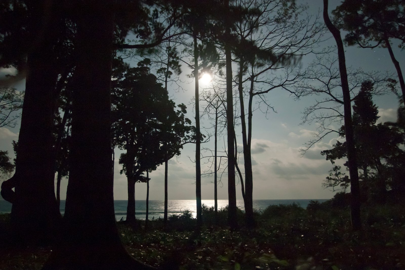 Neil Island