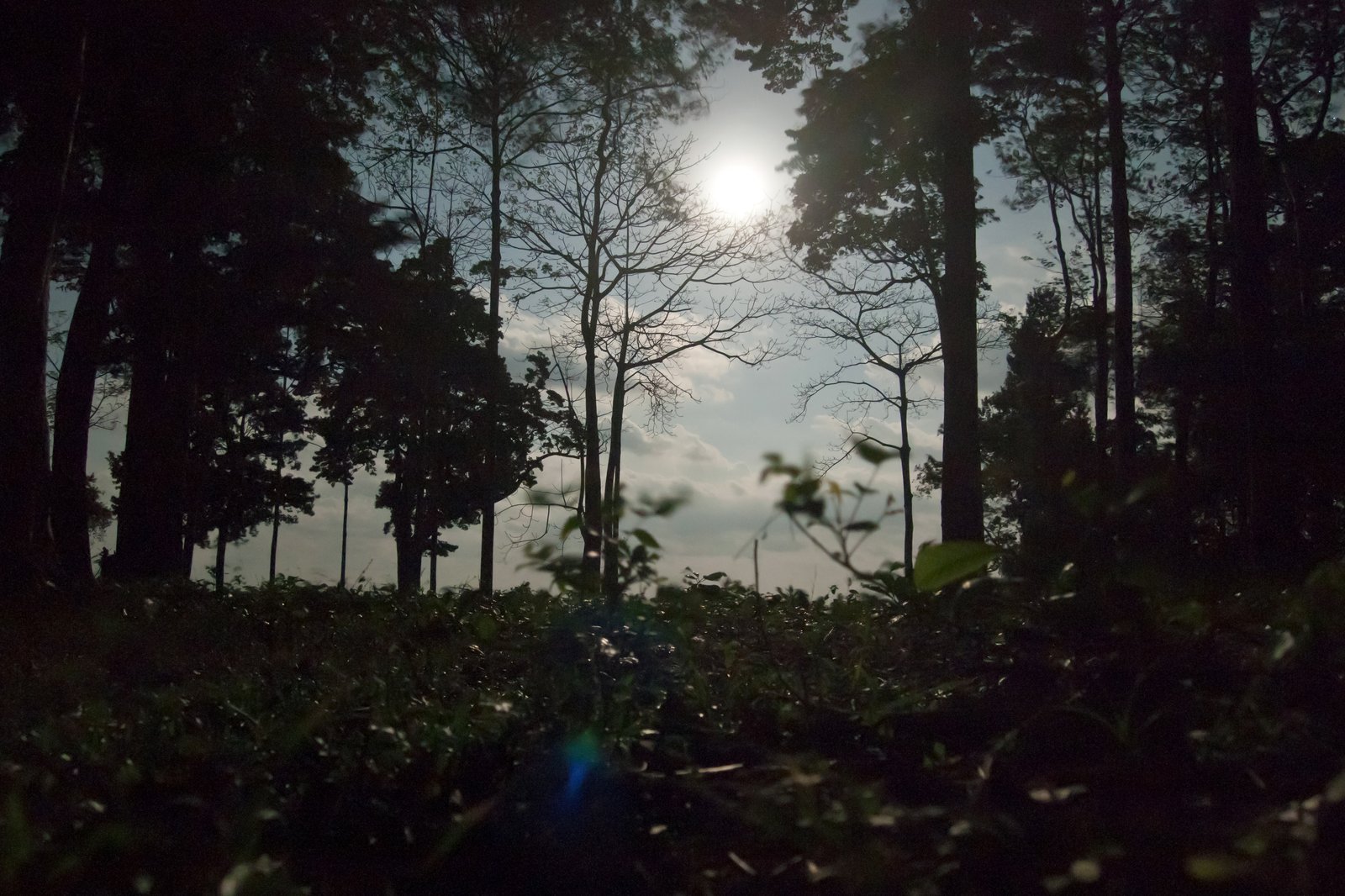 Pantnagar Airport, Neil Island