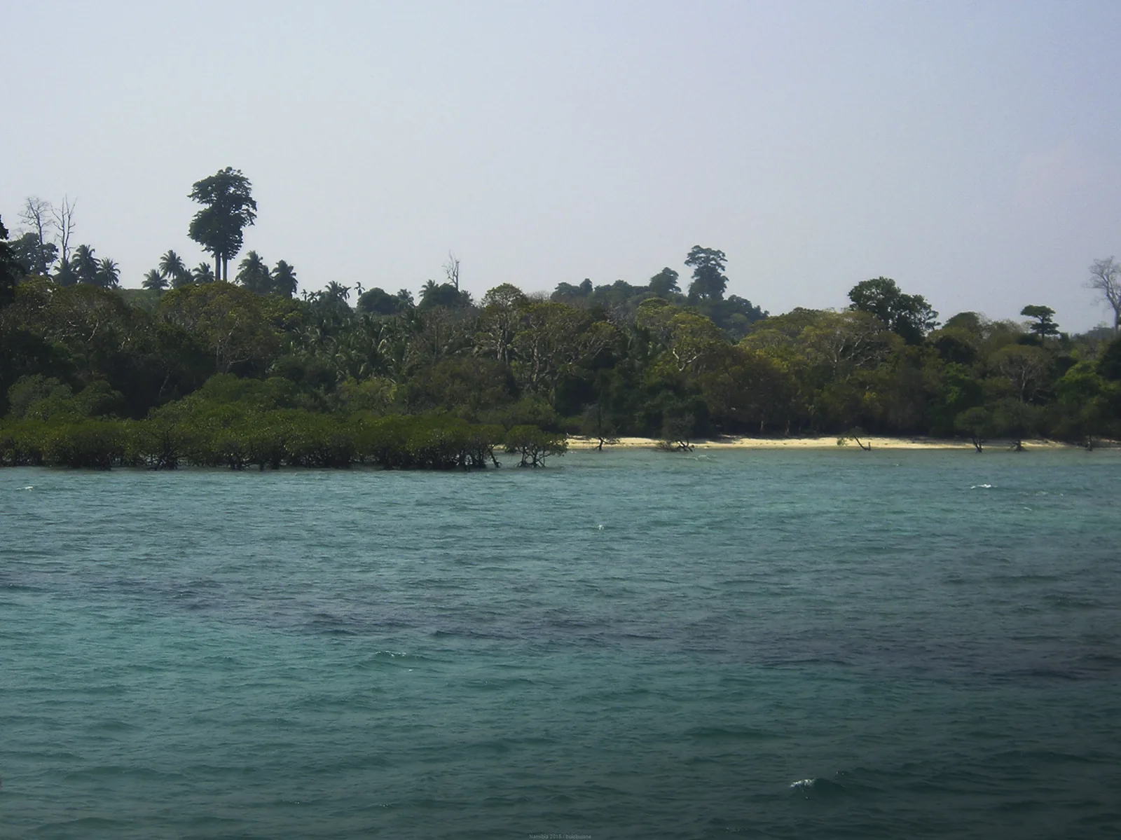 Live Coral Reefs, Starfish and Marine Life at Low Tide