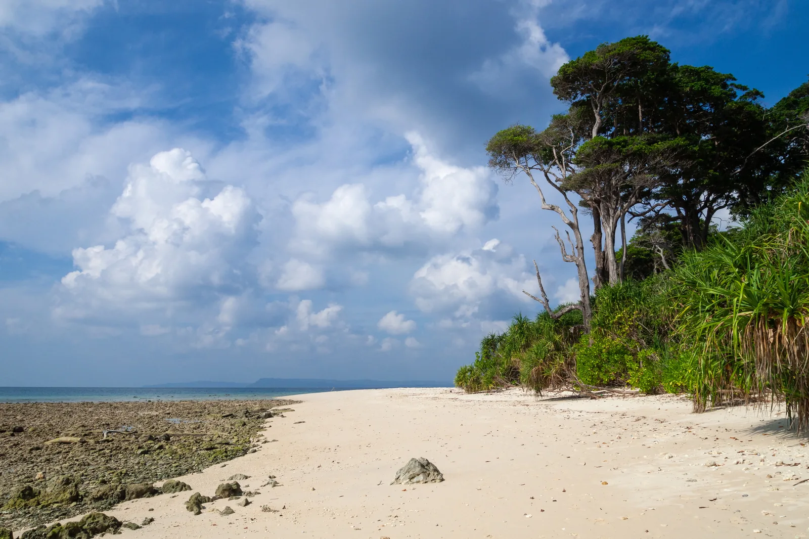 Exposed Coral Reef Platforms and Marine Tidal Pools on Laxmanpur Beach