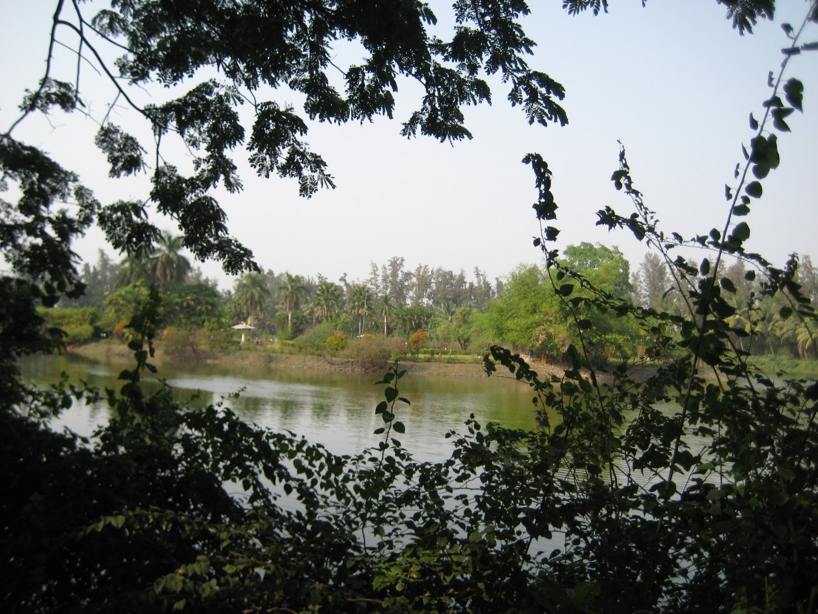 Kathgodam, Daman