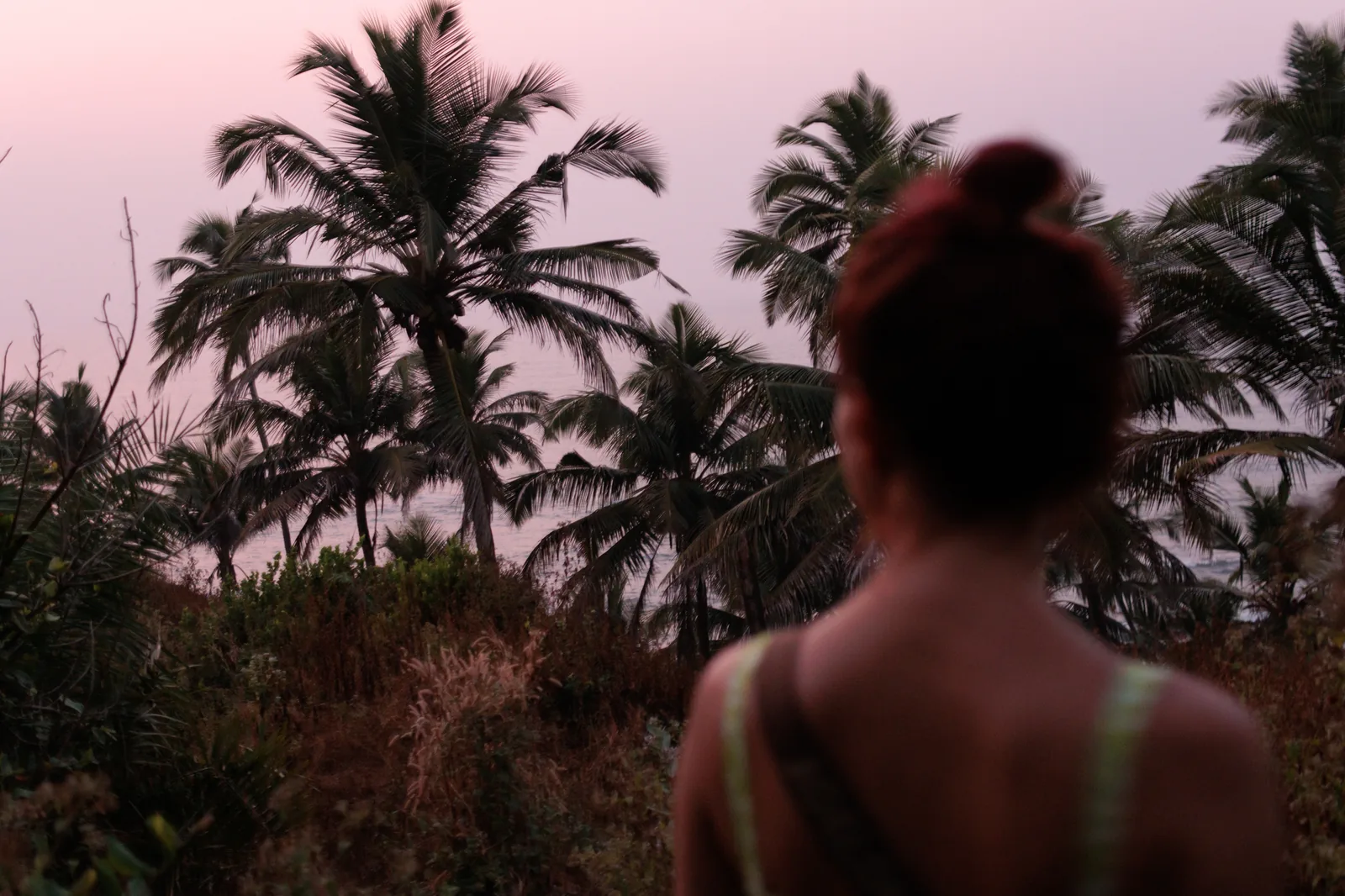 South Goa Western Ghats River Valleys and Forest Reserves