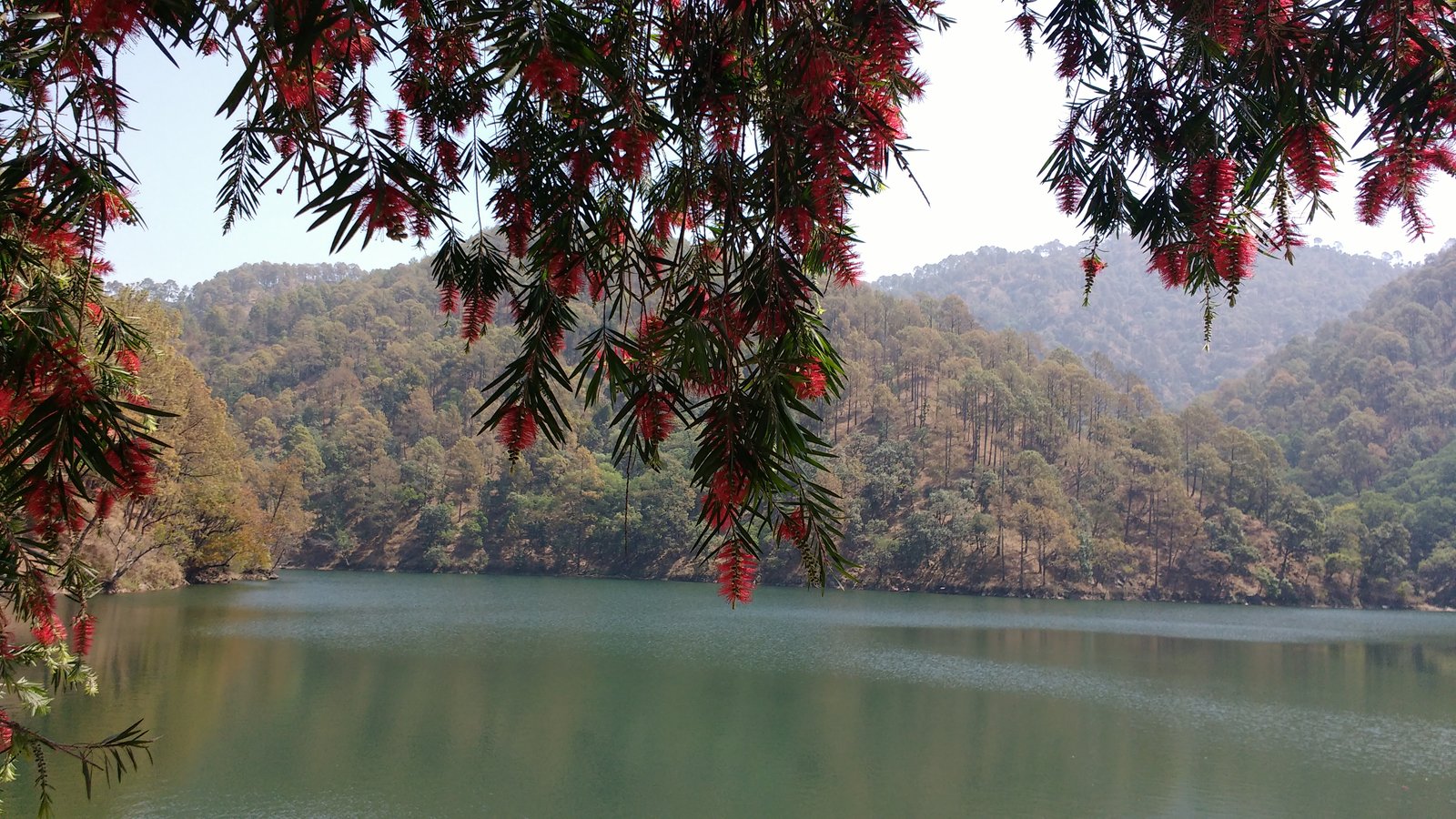 Mukteshwer Dham, Naukuchiatal