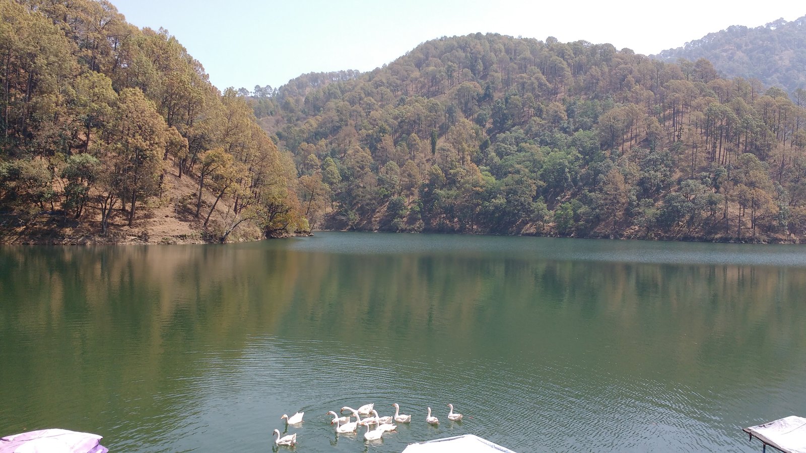 The top of the mountain on which Mukteshwar Dham, Naukuchiatal