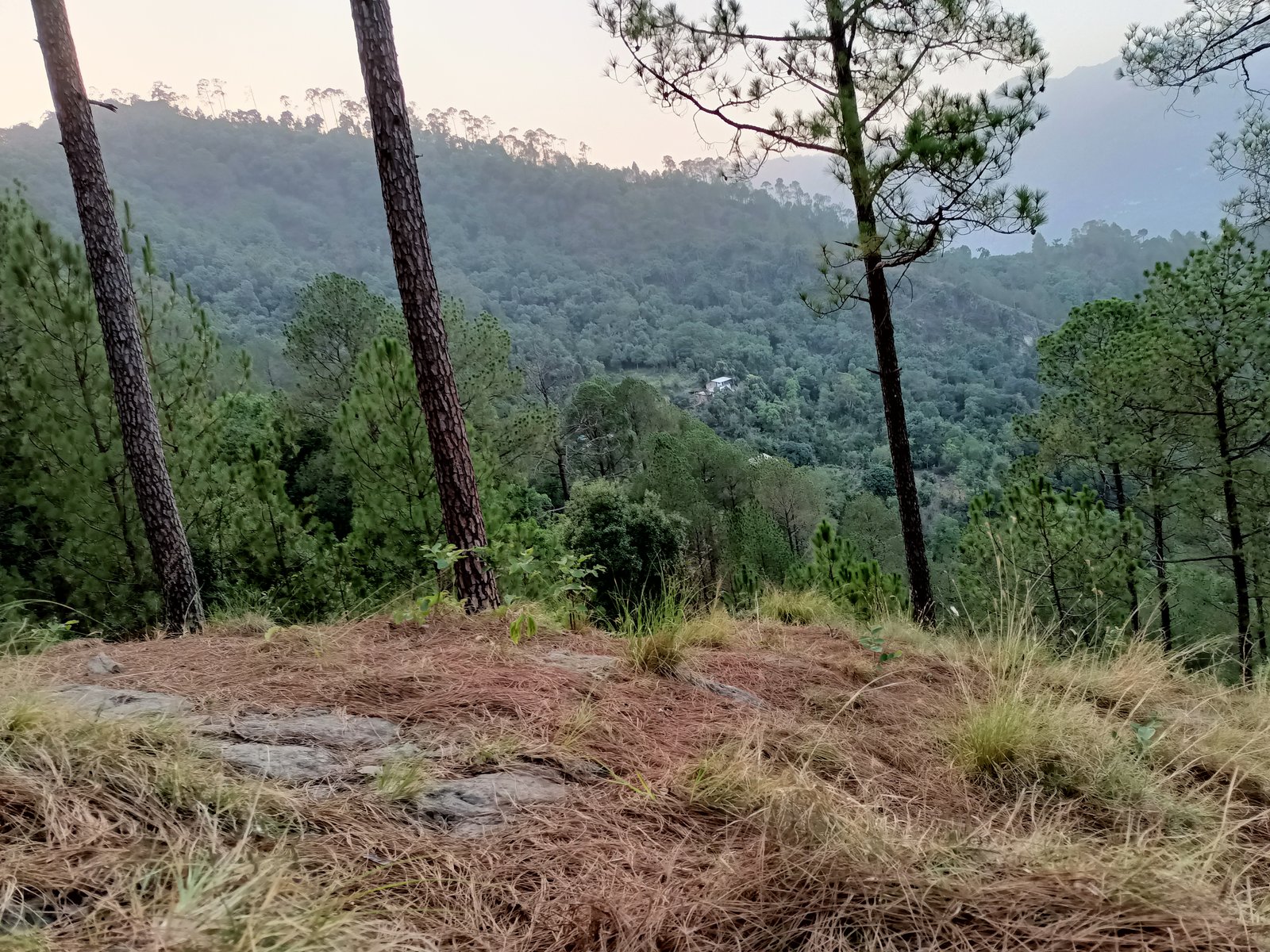 Dunagiri & Dronagiri Mountain Ridge Views, Jeolikot