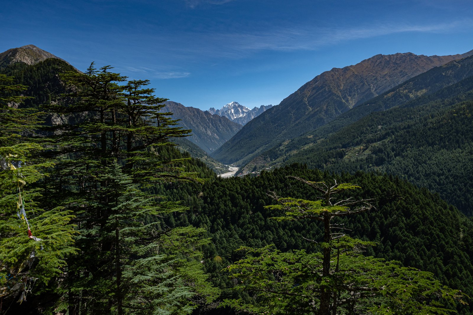 Gangotri Char Dham, Harsil