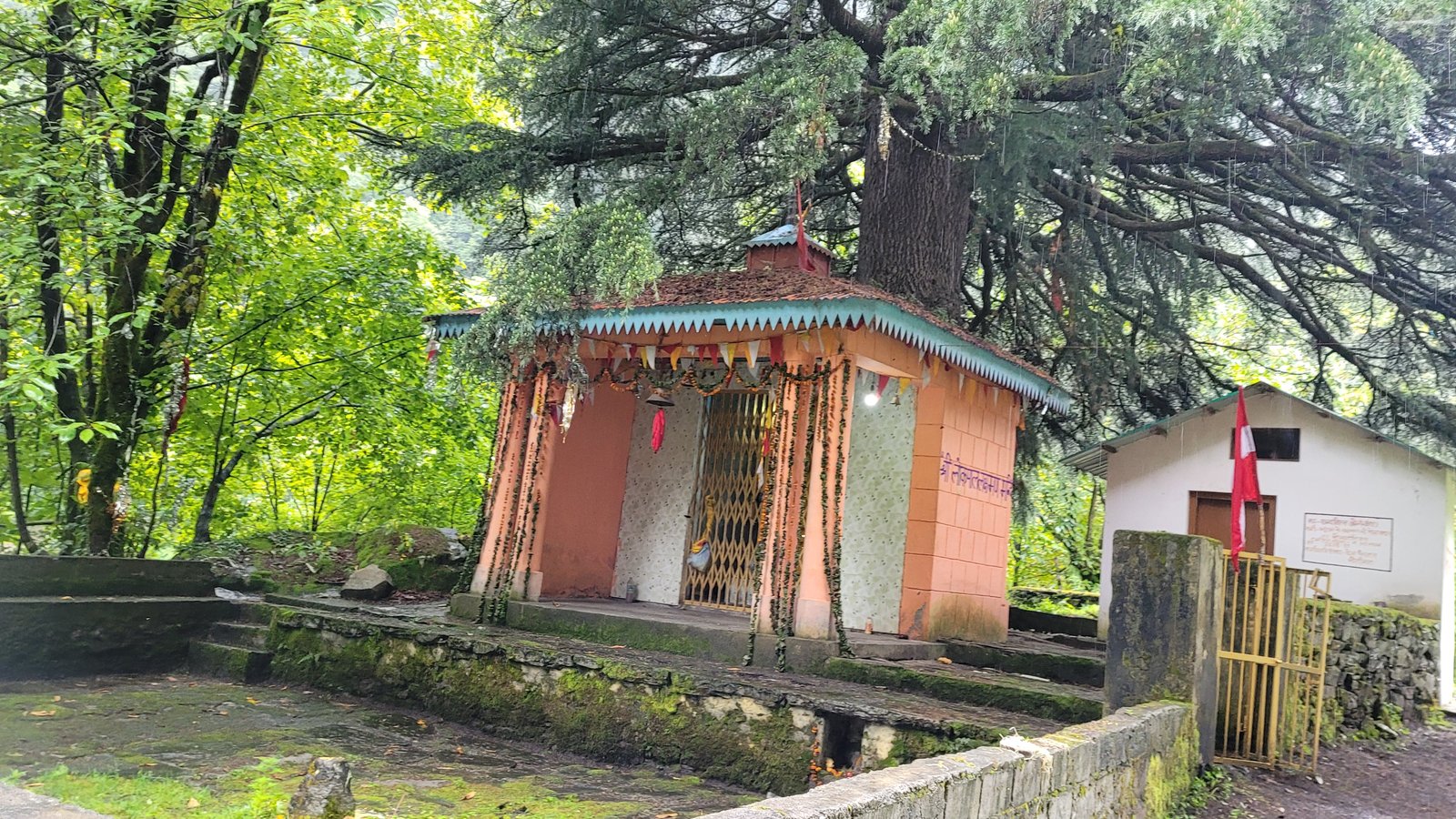 Dunagiri & Dronagiri Mountain Ridge Views, Ghangaria