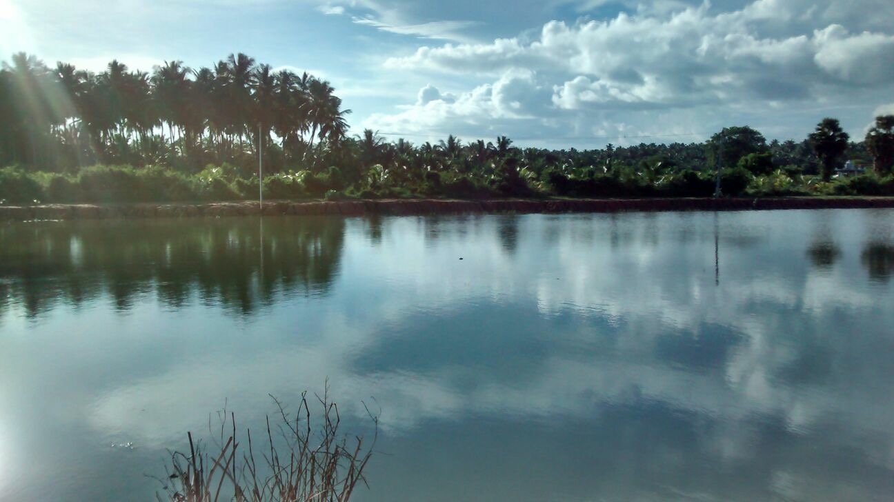 Veeriyankottai Lake, Peravurani