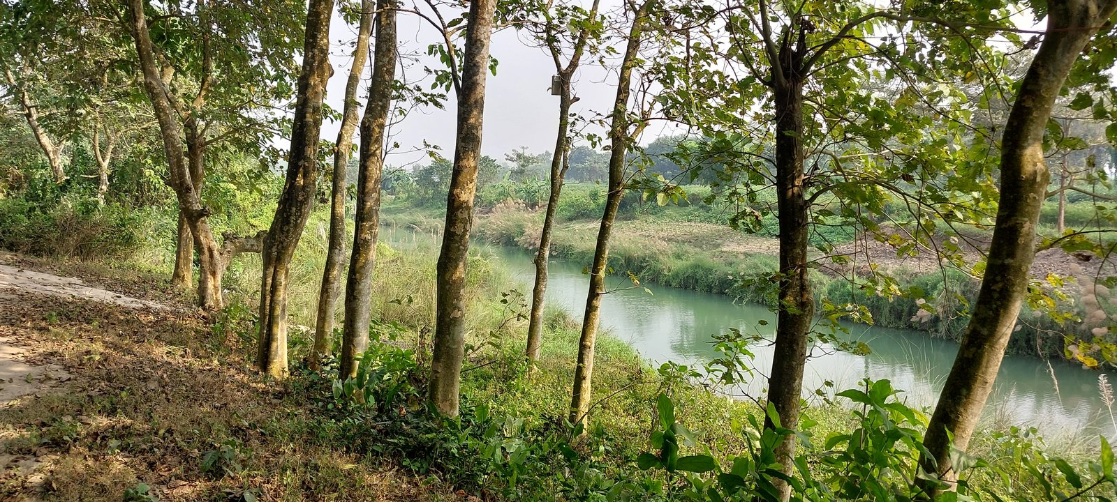 Mathabhanga River as Indo-Bangladesh border at Shikarpur, Nadia district, West Bengal 08
