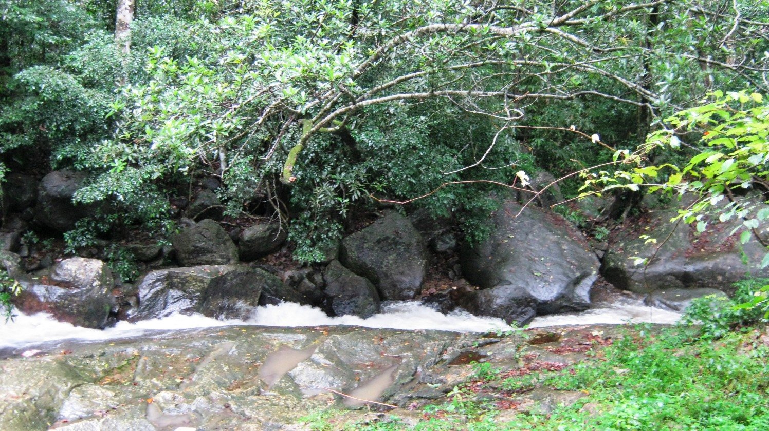 Palai Heritage Shrines & Ancient Monuments, Palai