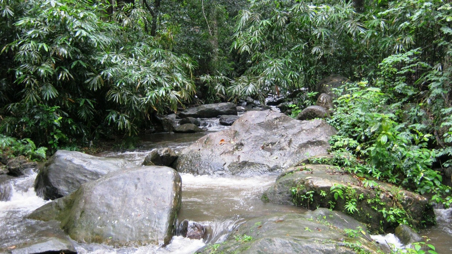Historic Riverside Promenade & Ghats of Palai, Palai