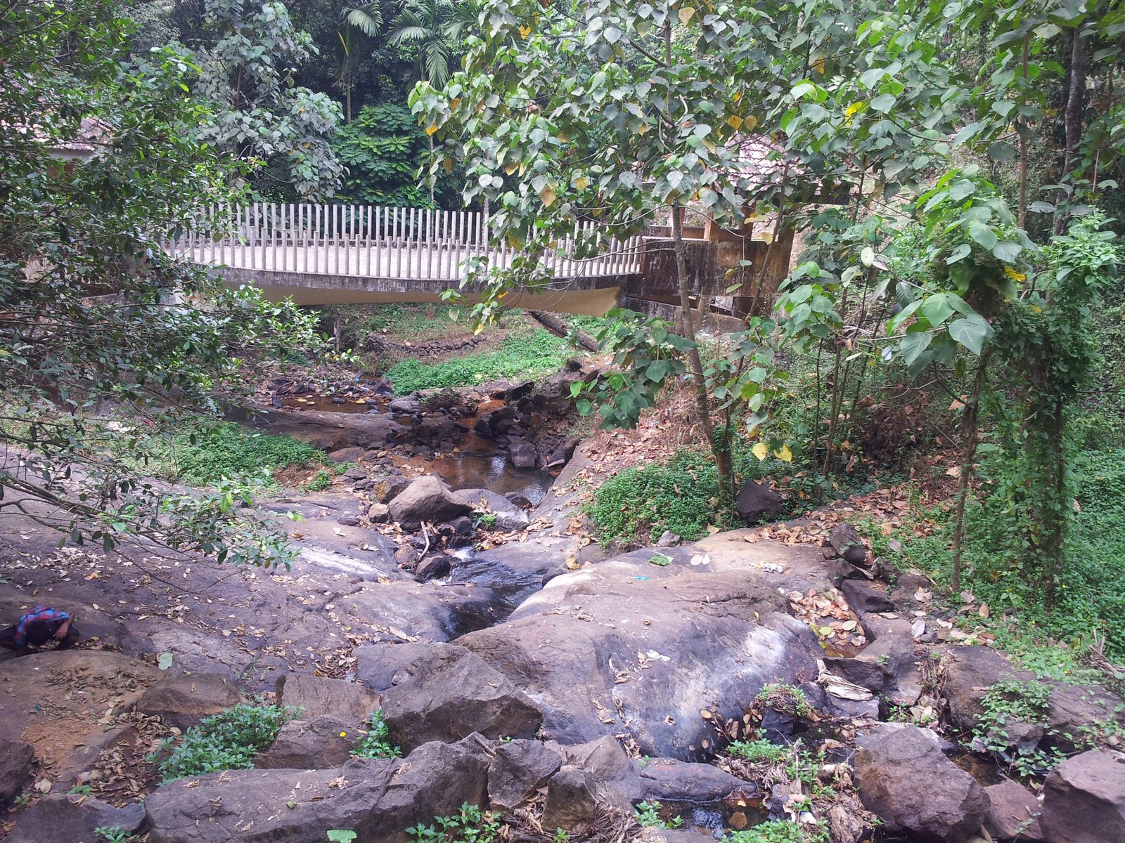 Bathing area below the third tier of Areekkal Falls