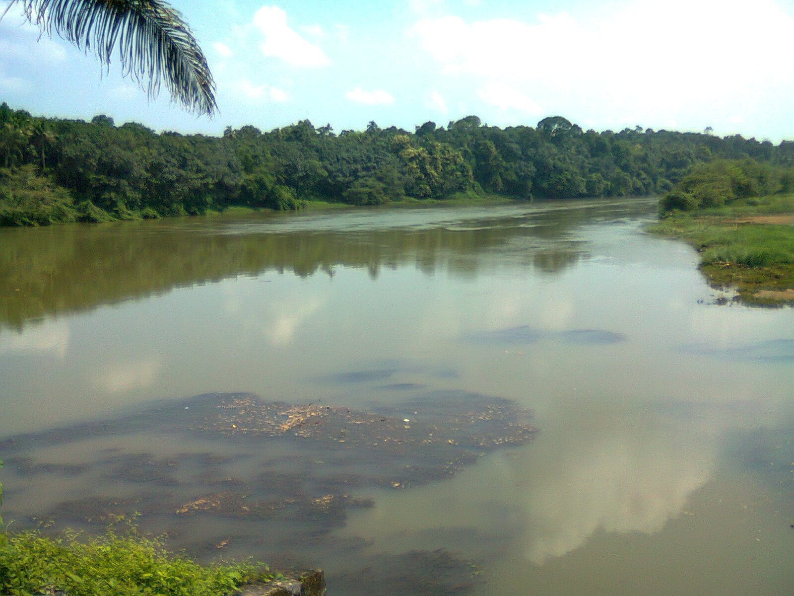 Muvattupuzha river at Pazhoor near the cave belt
