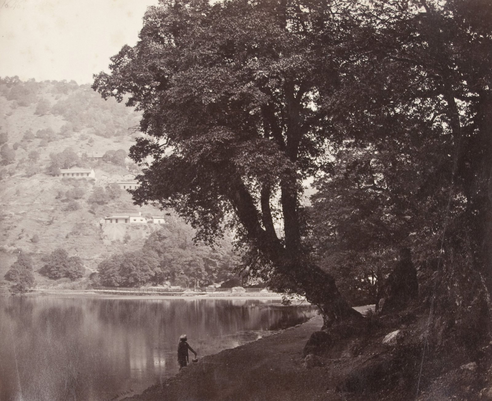 Guano Hills, Nainital